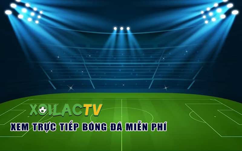 Xoilac TV - Trang trực tiếp bóng đá cập nhập mới nhất